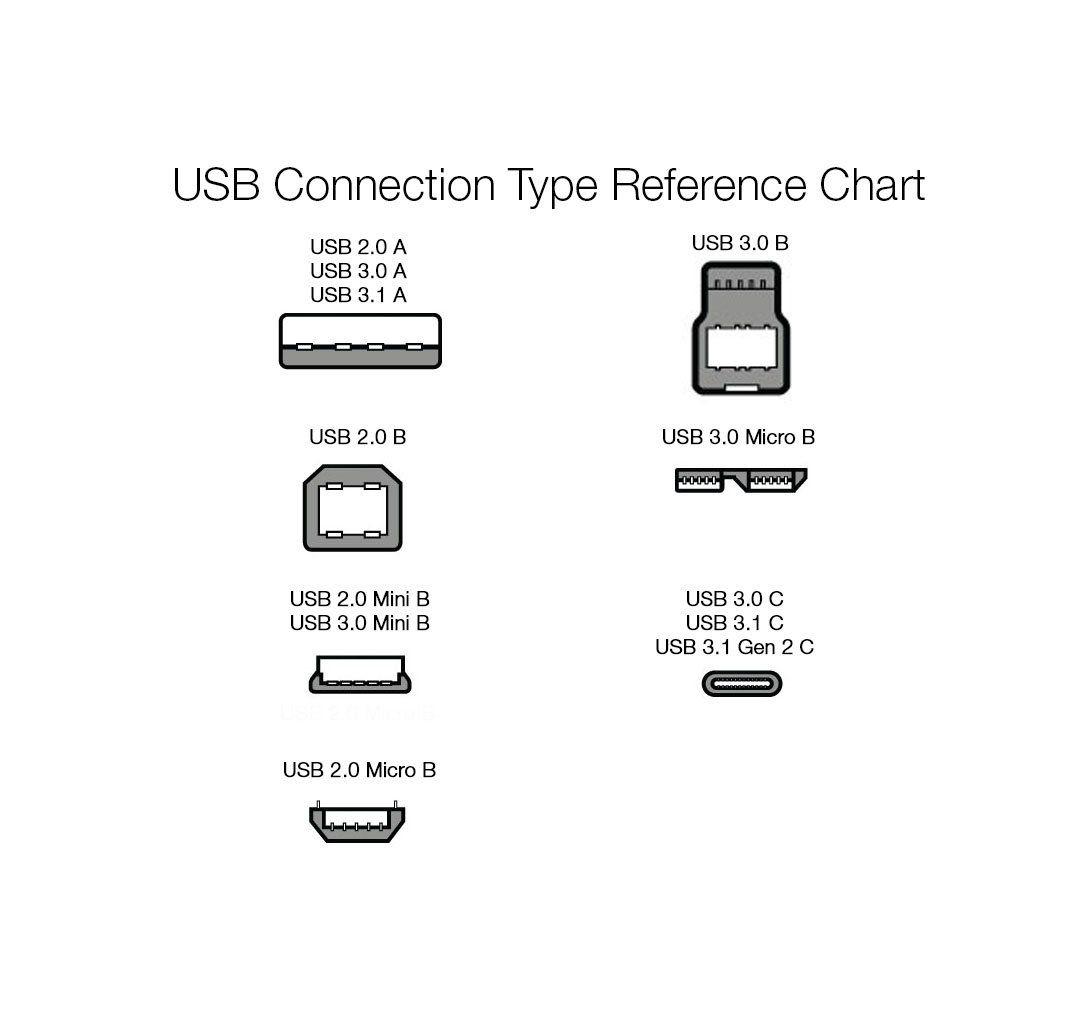 Champion 3-in-1 USB Charging Cable Type C, Lightning, Micro USB, Compatible with iPhone, iPad, Samsung, OnePlus, Mi, Oppo, Vivo, Xiaomi