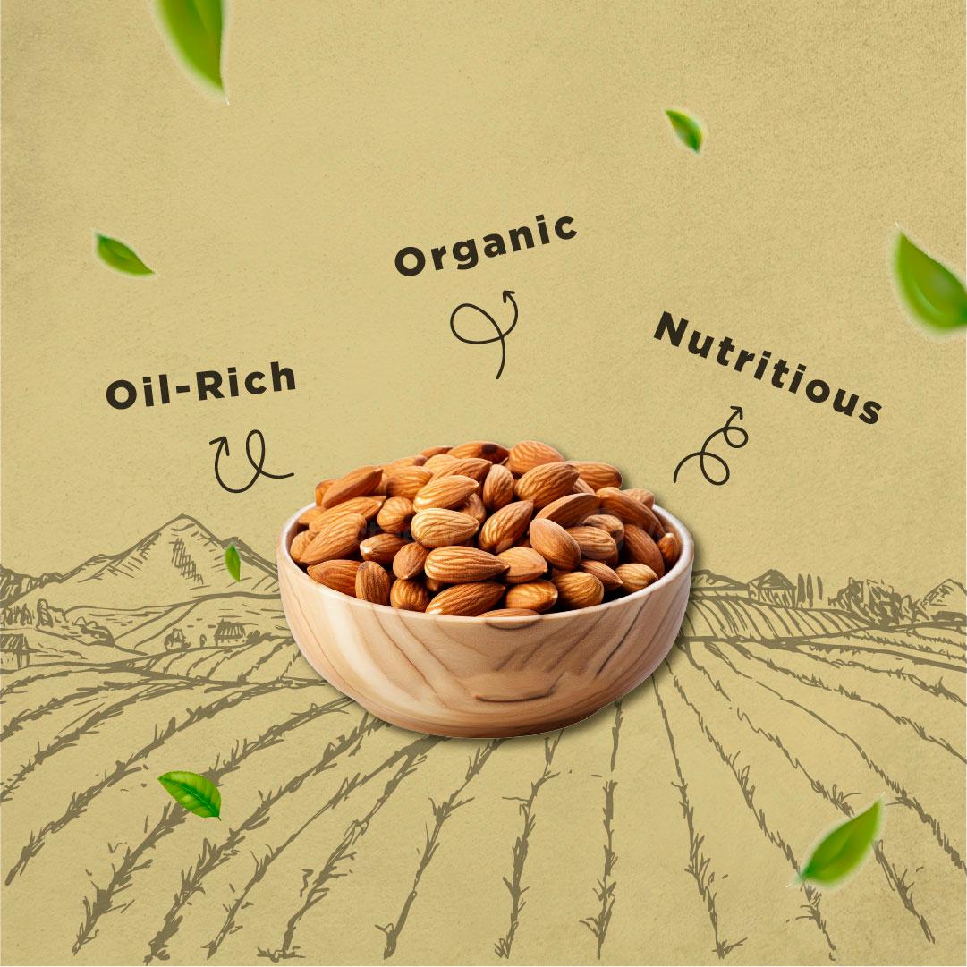 Product 6