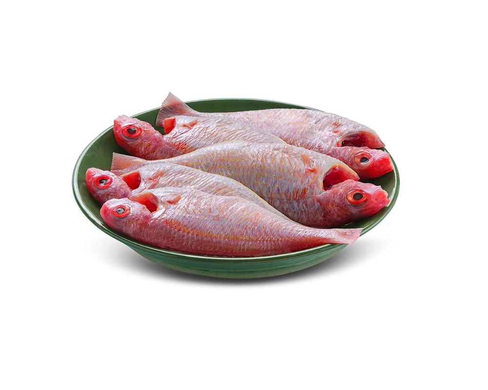 kili meenpuyapla katla medium cleaned 