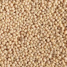 URID DAL 500G
