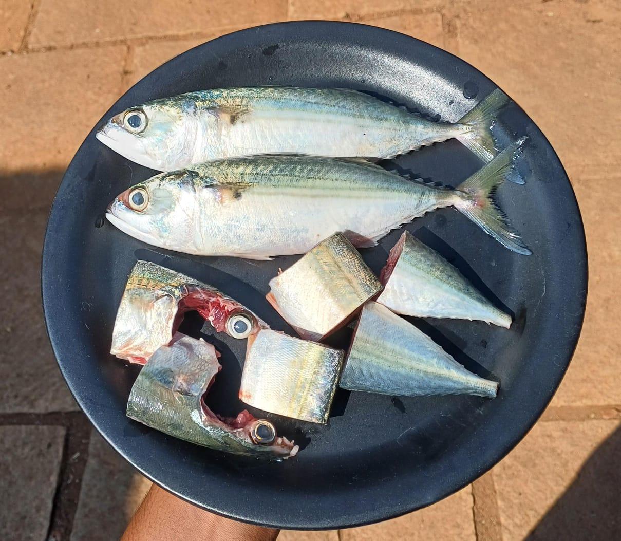 Ayalaa -Mackerel Curry Cut 350-400 gm pack