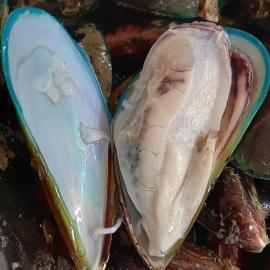 kallummakayakadukagreen mussel cleaned 250 gm