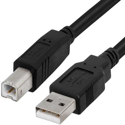 Champion USB A Male to B Male Printer Scanner Cable,Compatible with Canon, Brother, Dell, Epson, HP, Samsung, Lexmark, and Panasonic Printers and Scanners